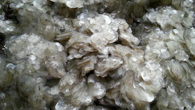 碱性凯发K8国际酶解鱼鳞制备胶原蛋白多肽，成品有沉淀？