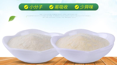牛皮酶解提取牛皮胶原蛋白肽生产工艺是什么？