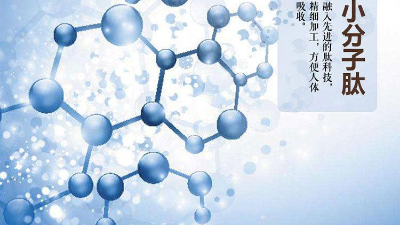 关于蛋白质与蛋白肽的区别，您有了解多少？