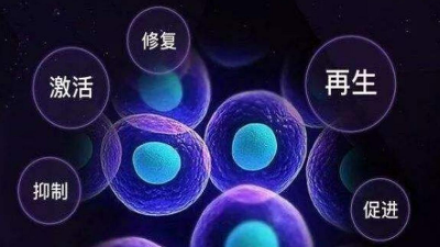凯发K8国际酶制剂即将参加2021第五届生物活性肽研讨会