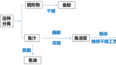 酶解鱼溶浆与酶制剂之间存在什么联系?